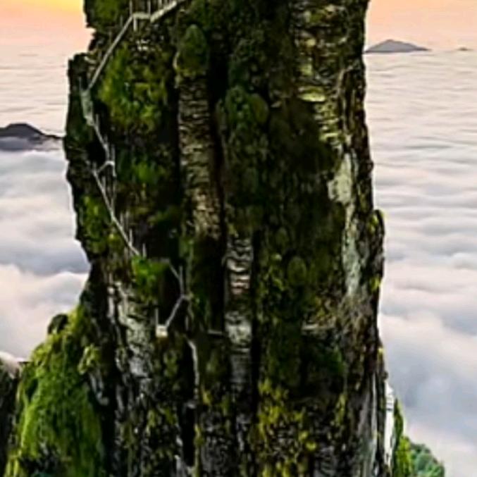 丁总