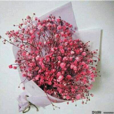 栀子花开