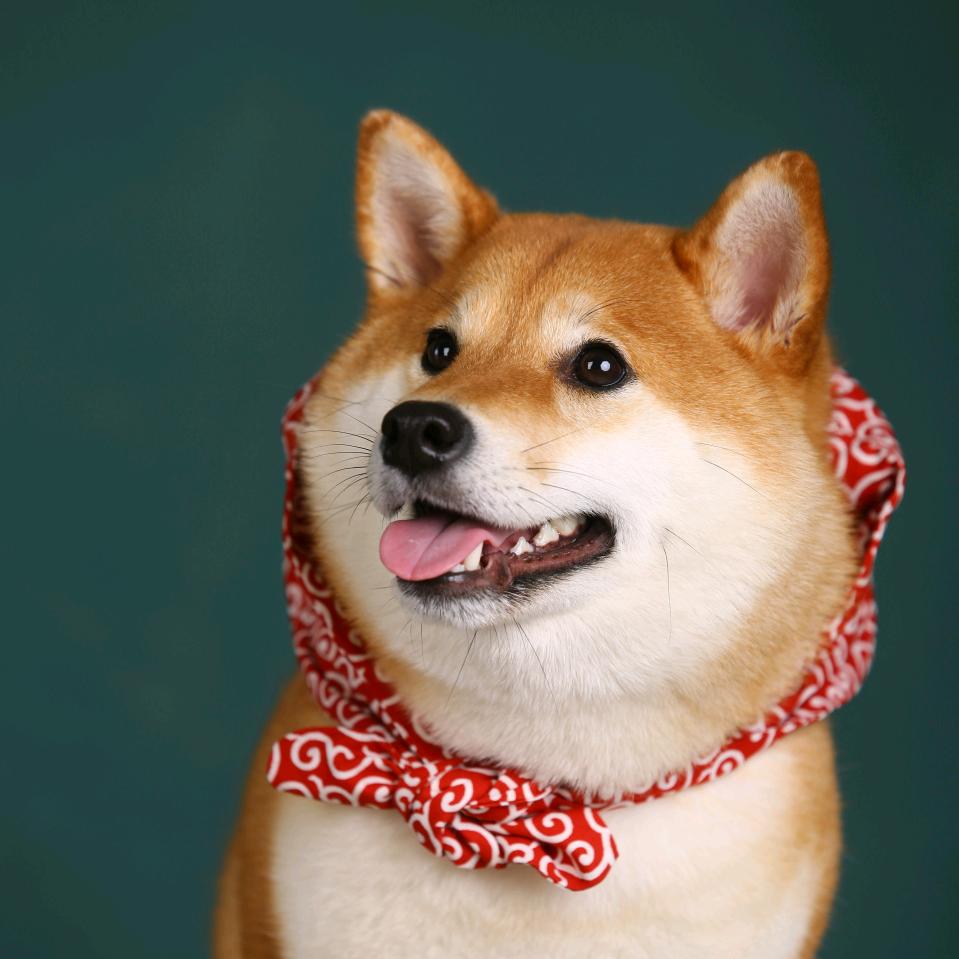老铁