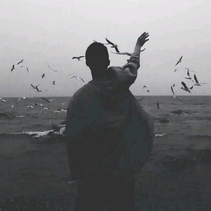止一往无前