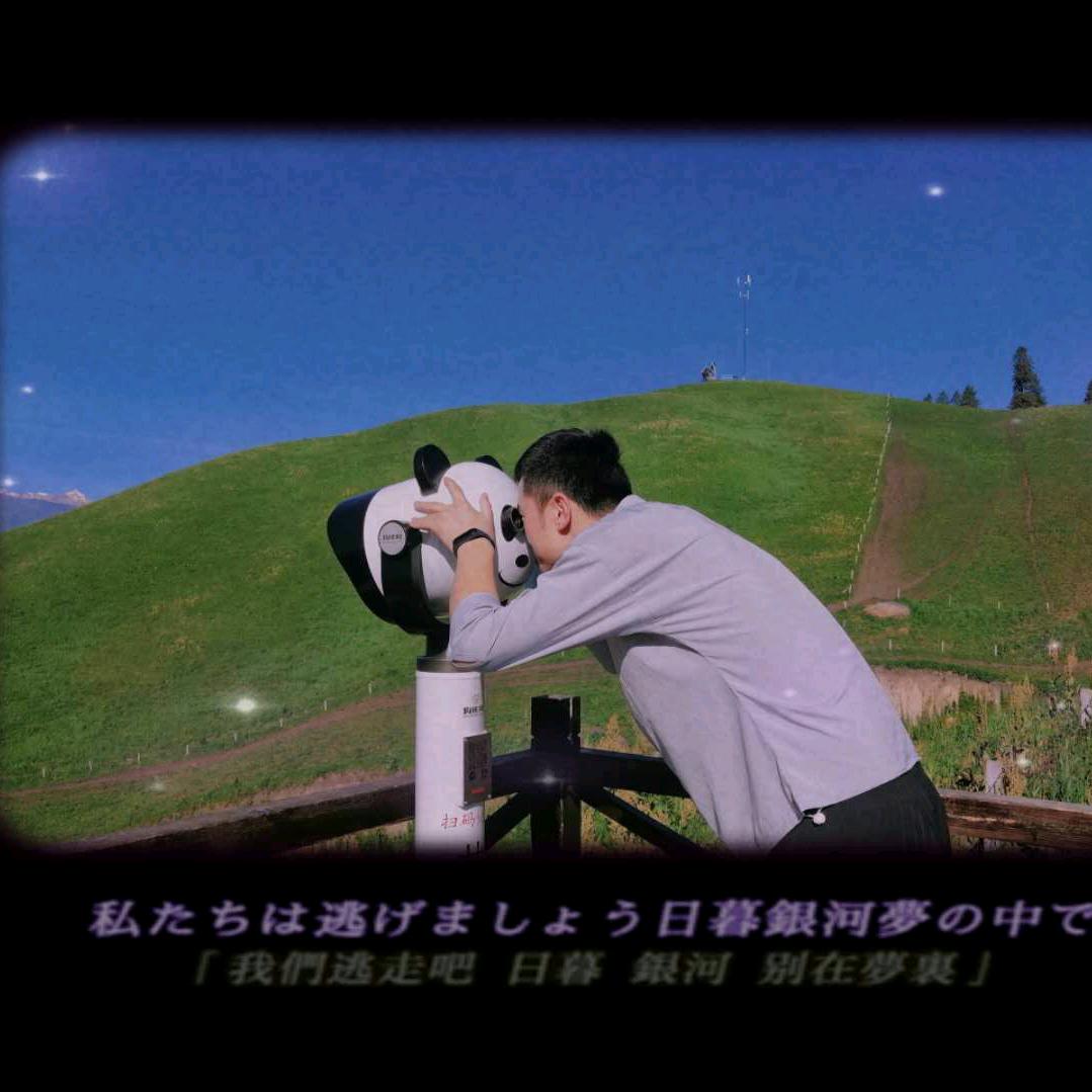 明梅漫语
