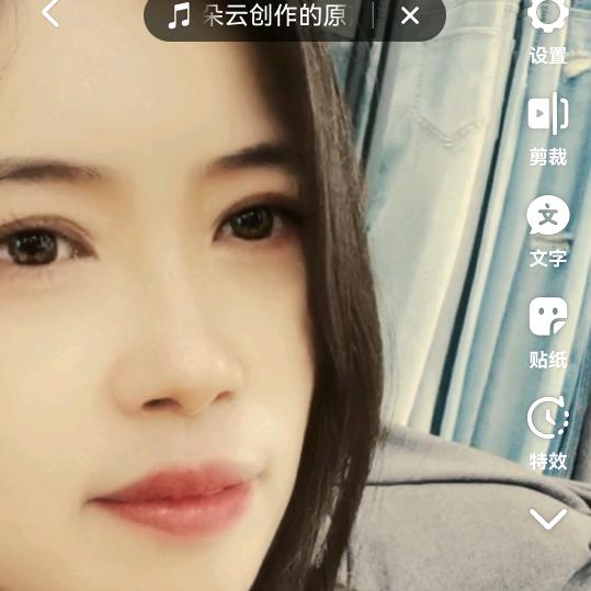 水中花（厨窗好物）