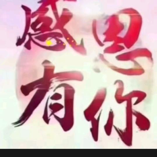 Xgl秋水伊人
