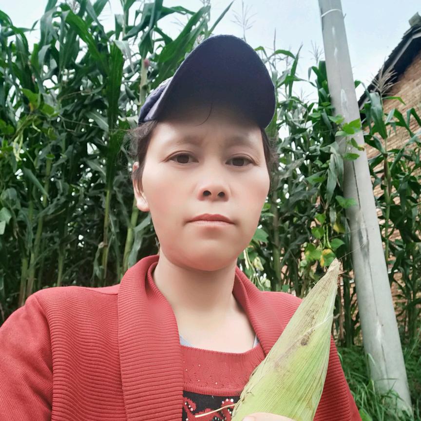 陈二妹