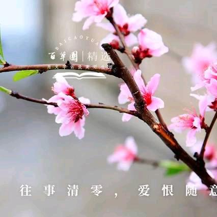 ^_^微笑向暖^_^