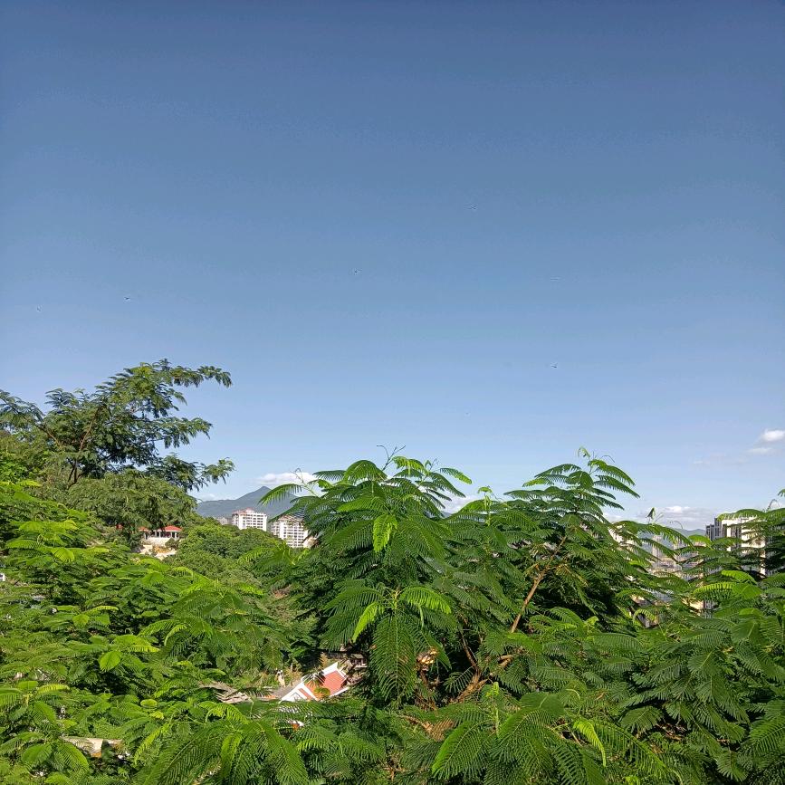 人生如梦岁月无情