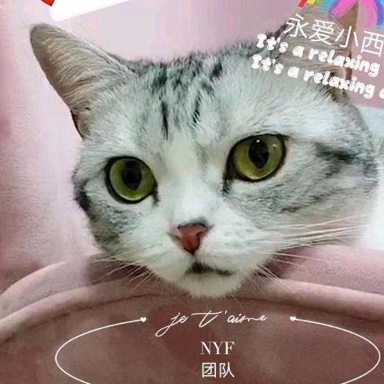 孙楚😍😍😍😍😍😍😜😠😝