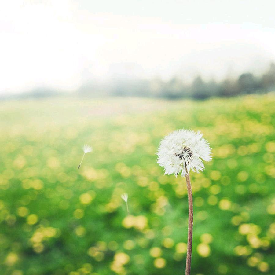 Remember kindness