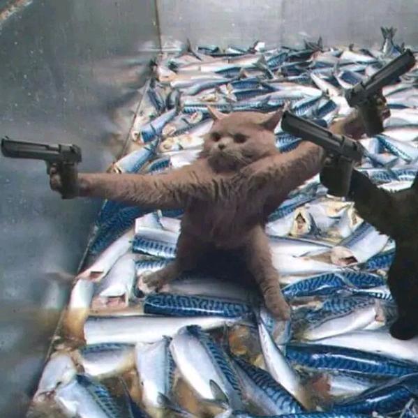 啵啵🐠