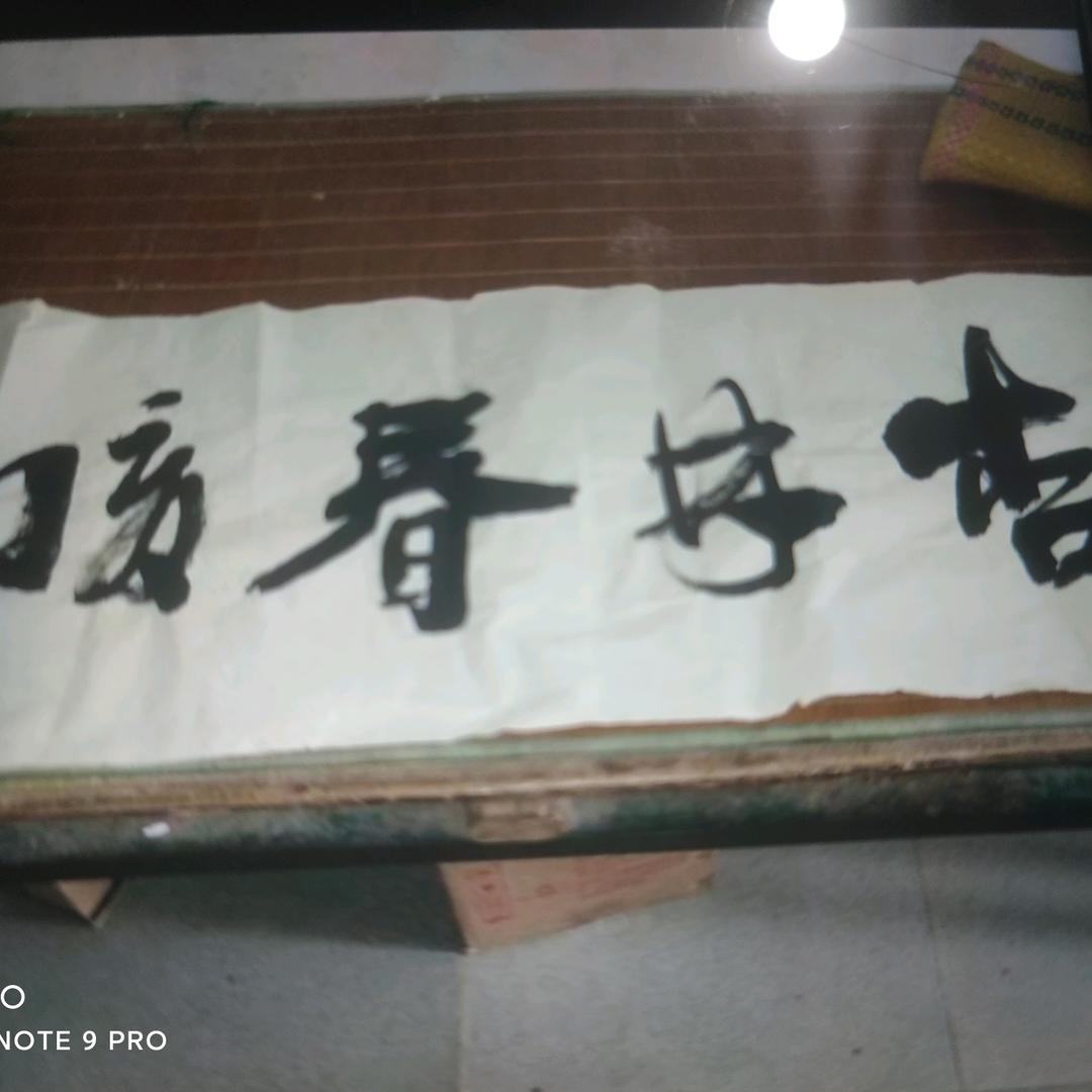 杏林春暧（书法爱好者）