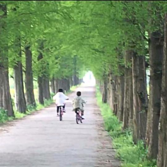 李福伟