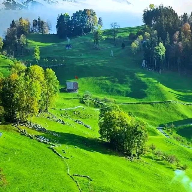 👿👿👿👿👿👿👿👿👿👿