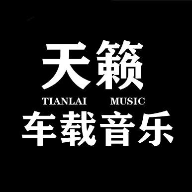 天籁之音（车载音乐）