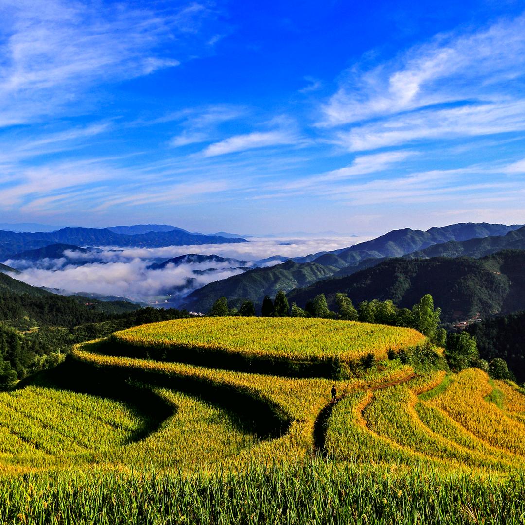 桃源梯田