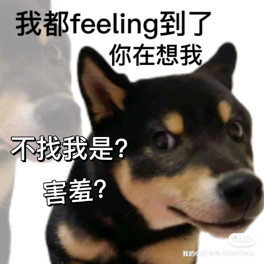 菠萝明天吃什么