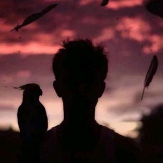 庆阳王天勇律师（法律咨询）