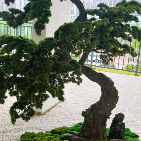 开开心心每一天