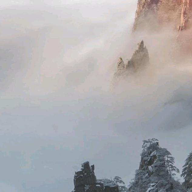 酒仙