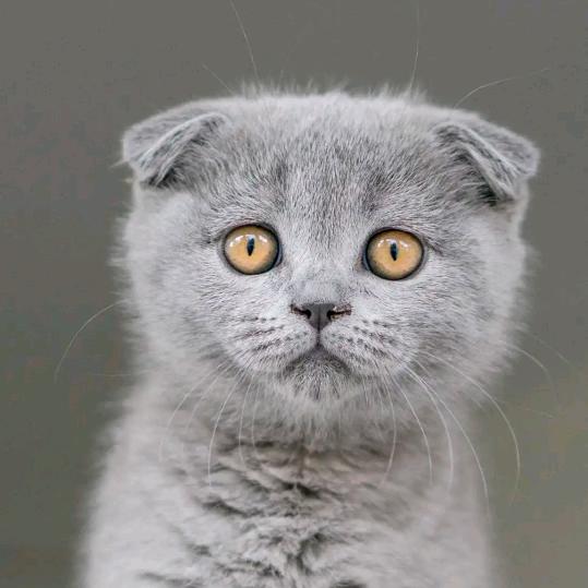 没有你🌹真的很孤单