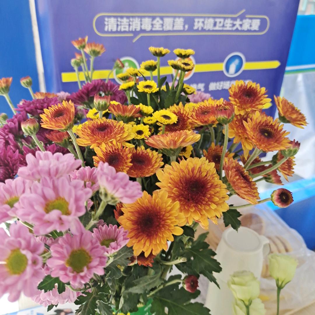 彩云