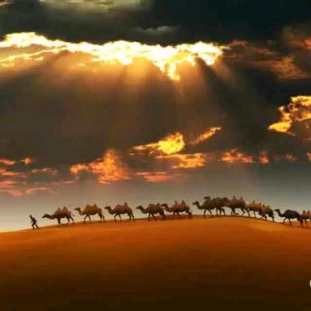 浩之翰纱窗总店