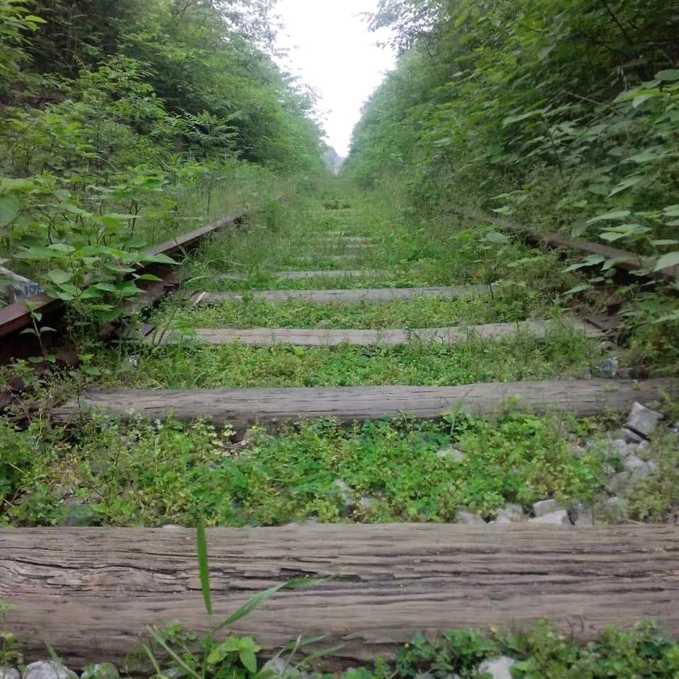 华胥村植物爱护员