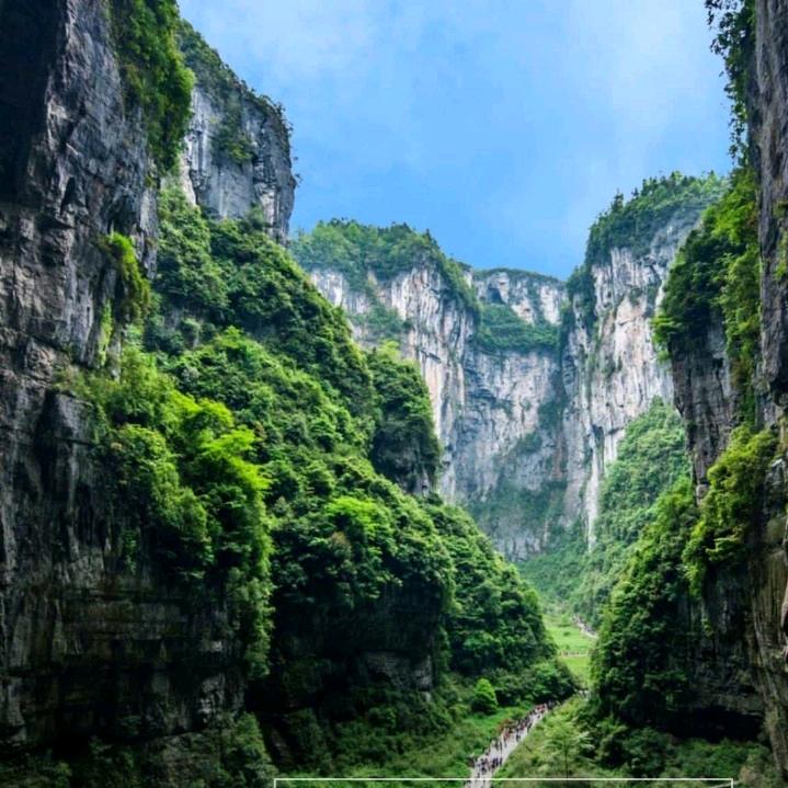 孤独浪子