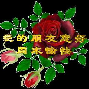 社会正能量故事