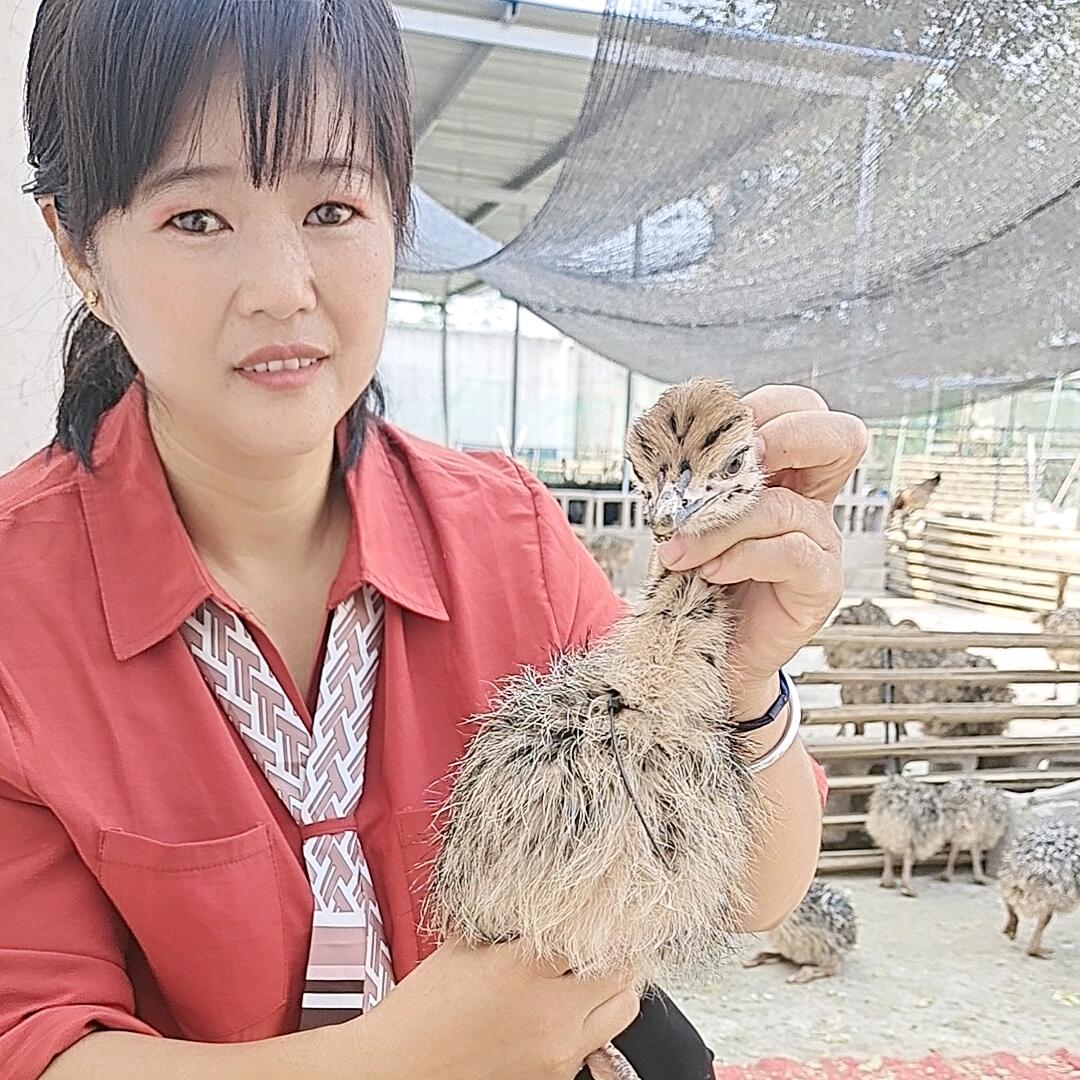 俊辉豪特种养殖