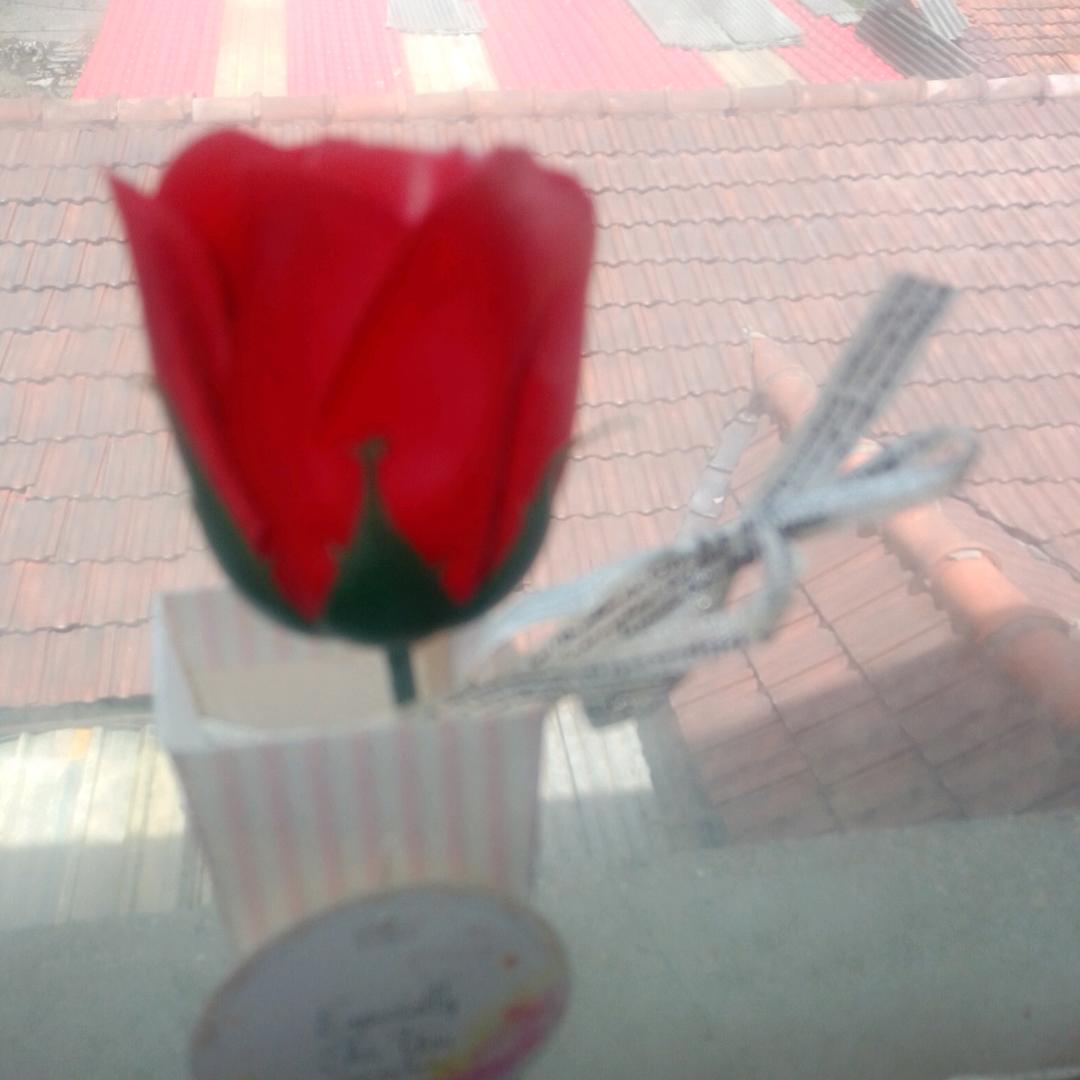 江上一黎春