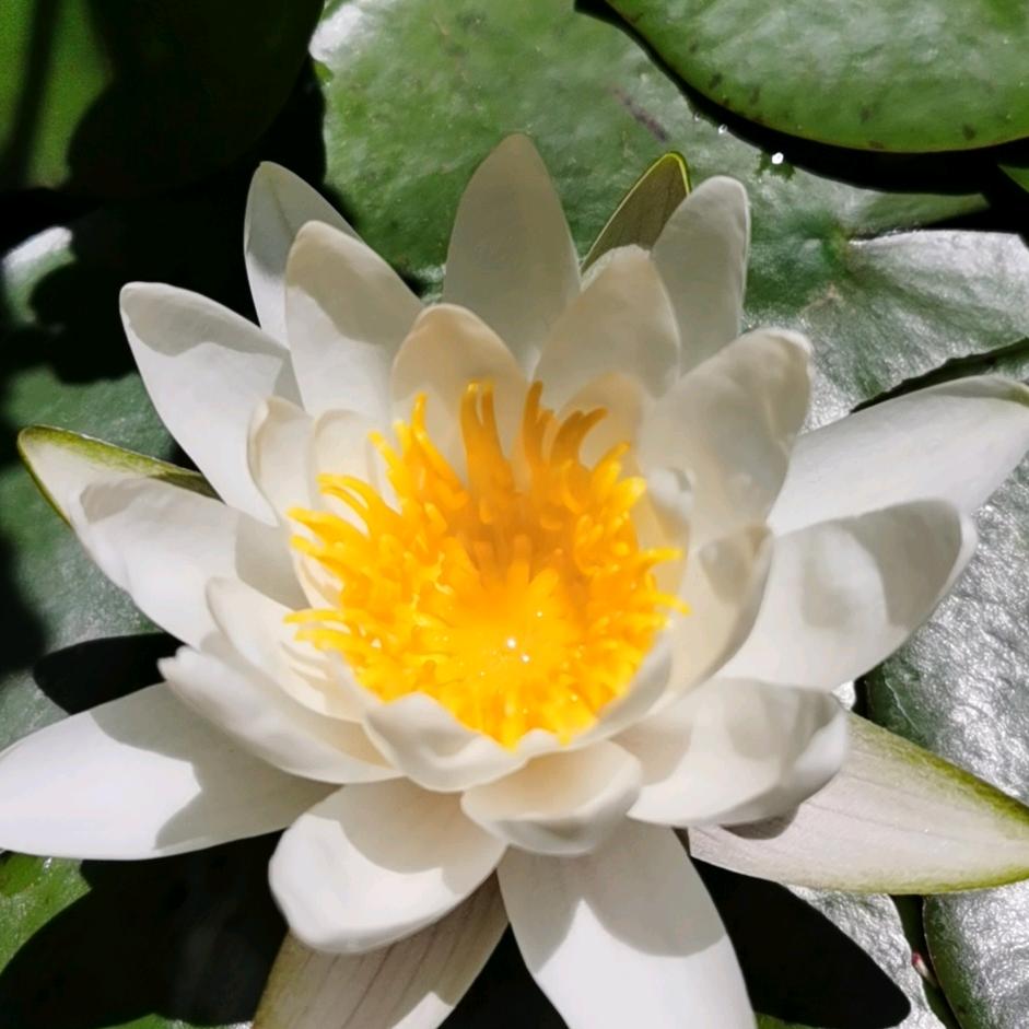 流水无声