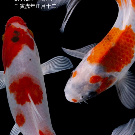 水