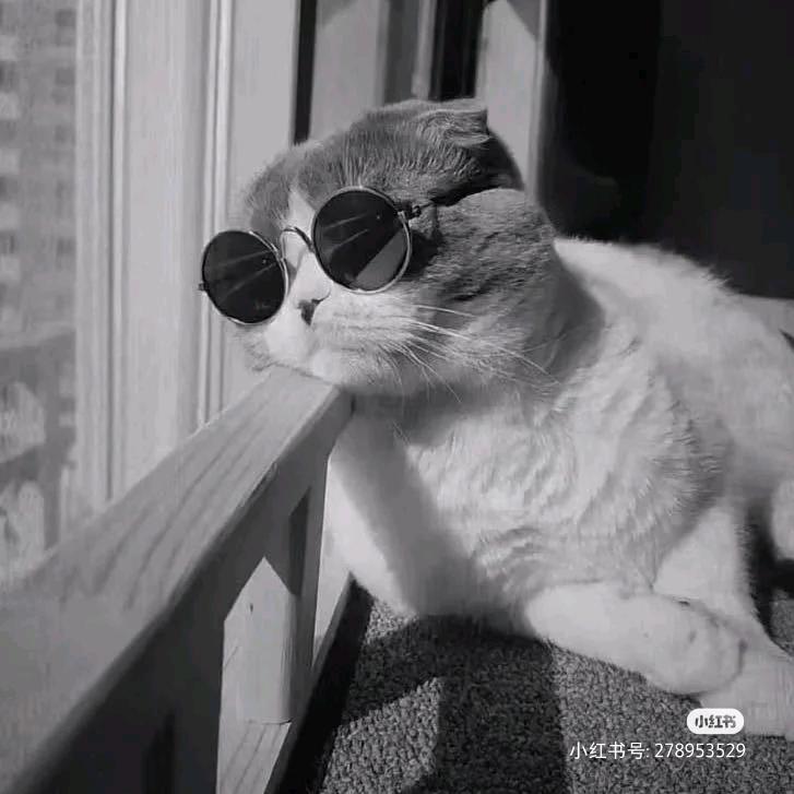 章先生丶