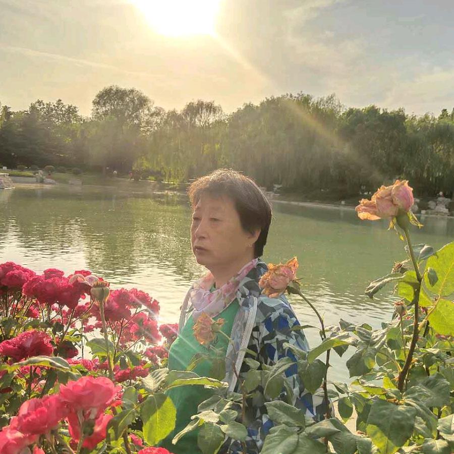 自由自在