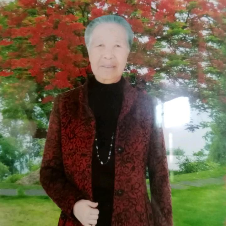 张家老太太