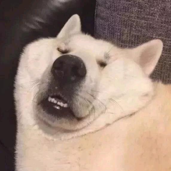 乱七八糟