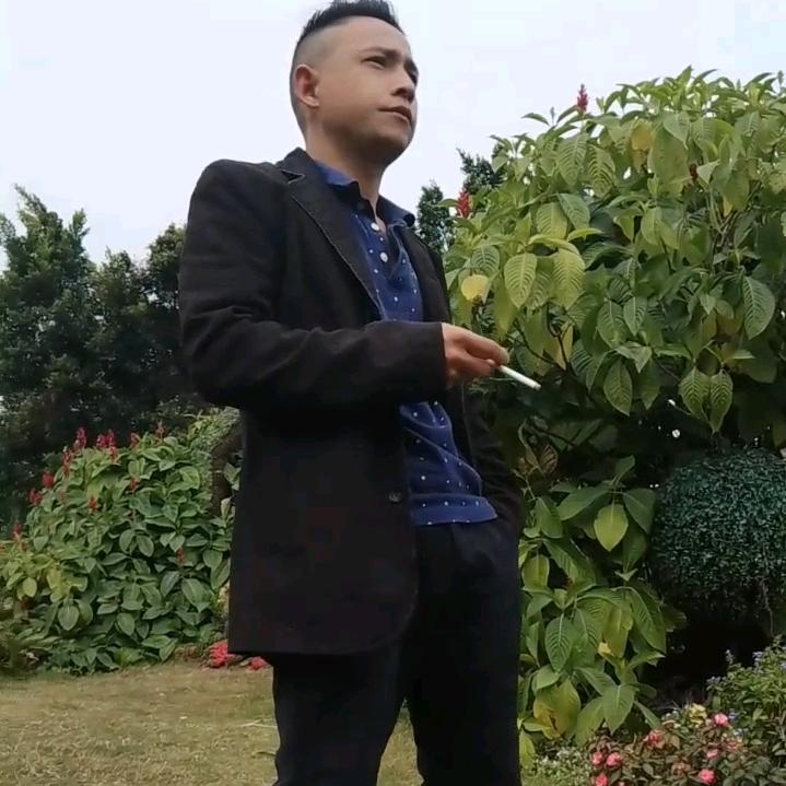 独闯港湾之@叶虎