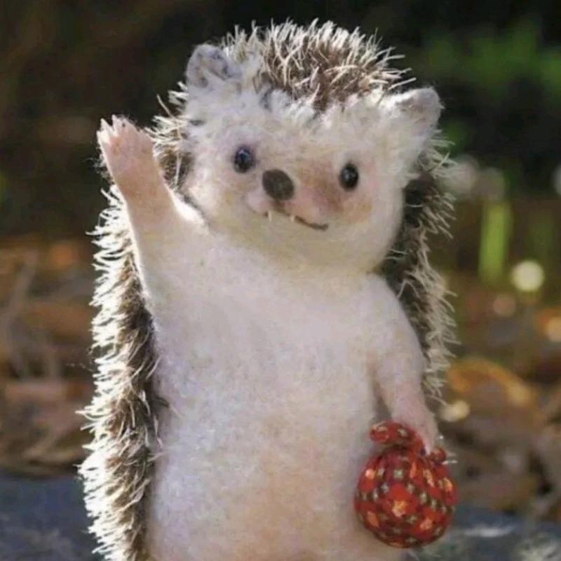 green╭╮小天地