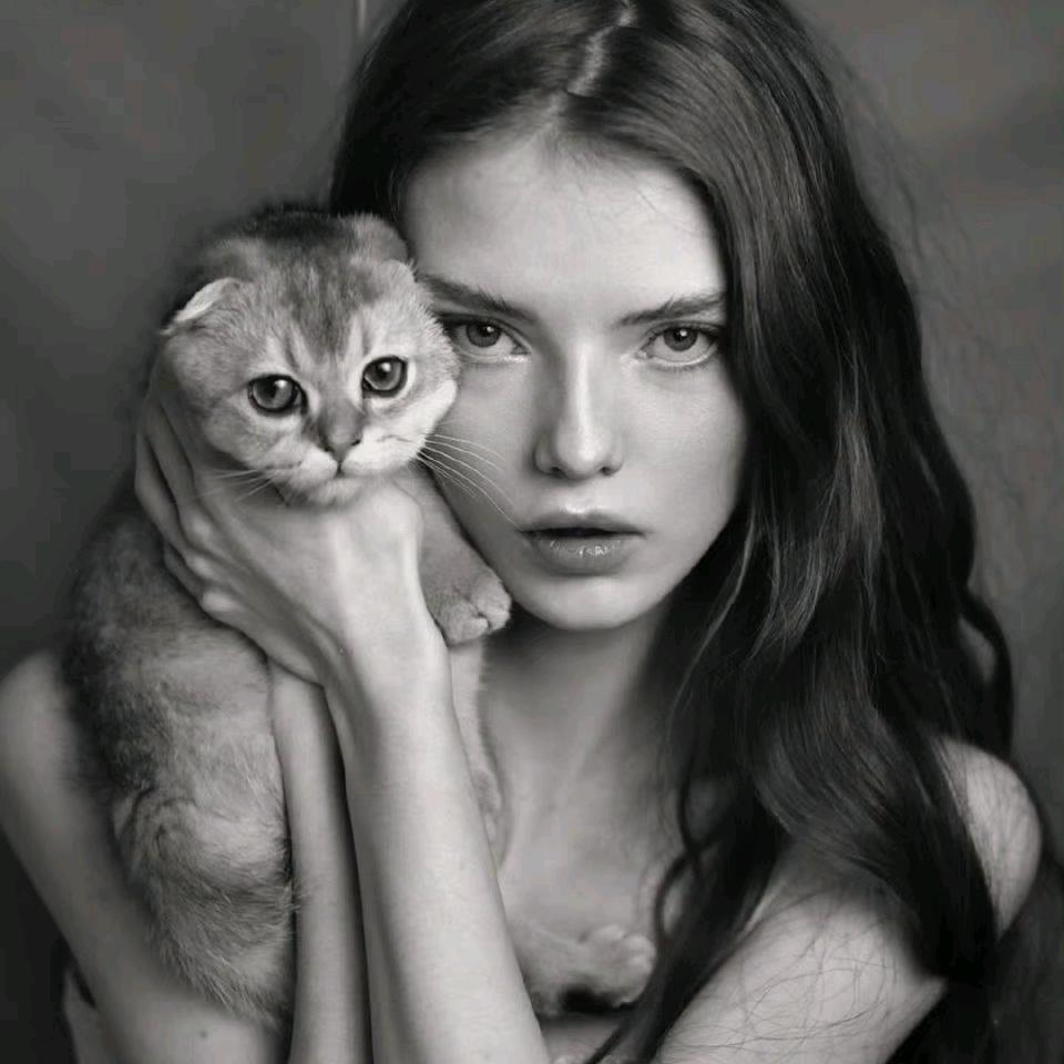 🐯🐷🐴^