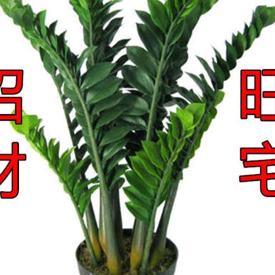 专业装修木工