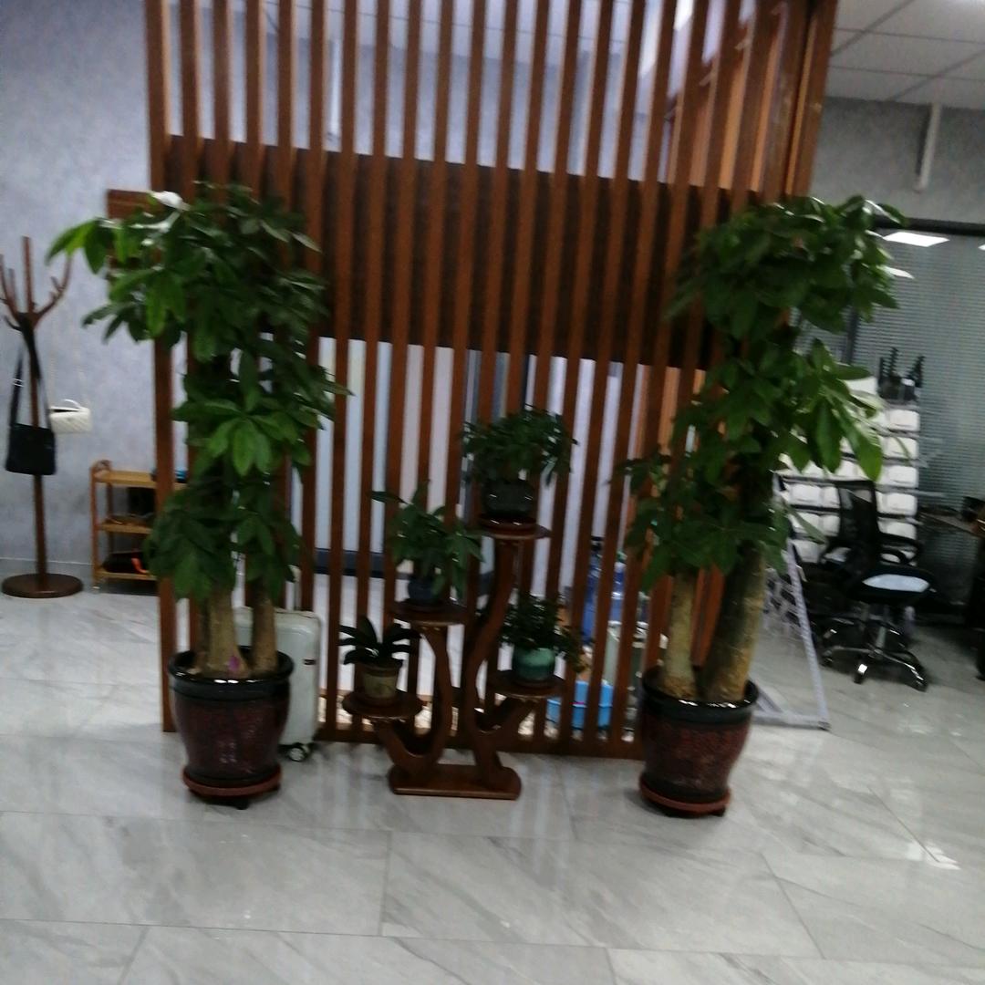 盈文科技【专注获客】磊磊