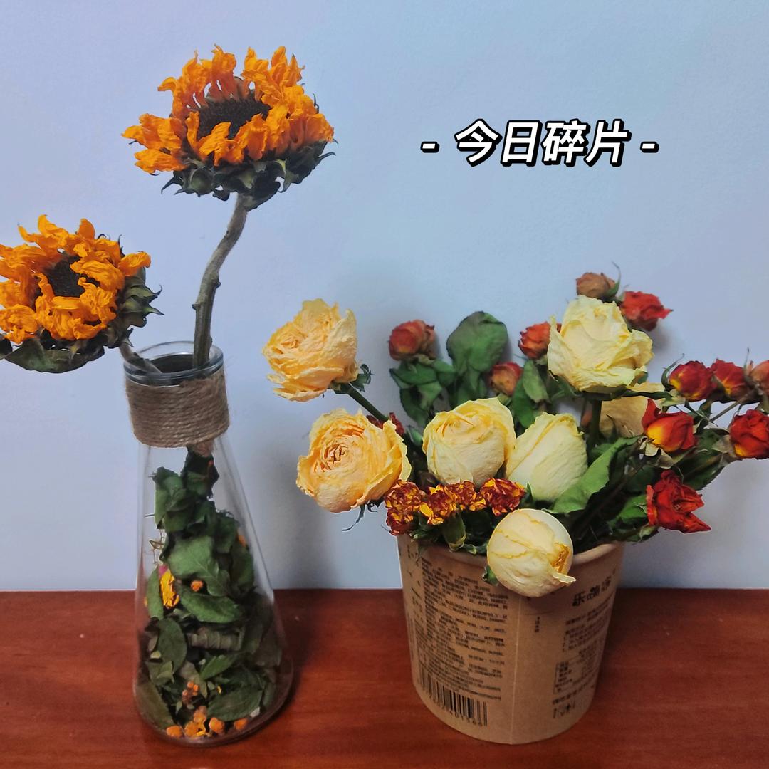 comfortable田🌸