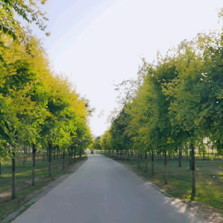 万佳传奇