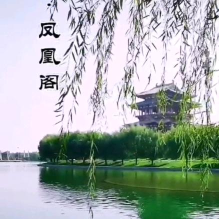 镜观成安(活动策划）