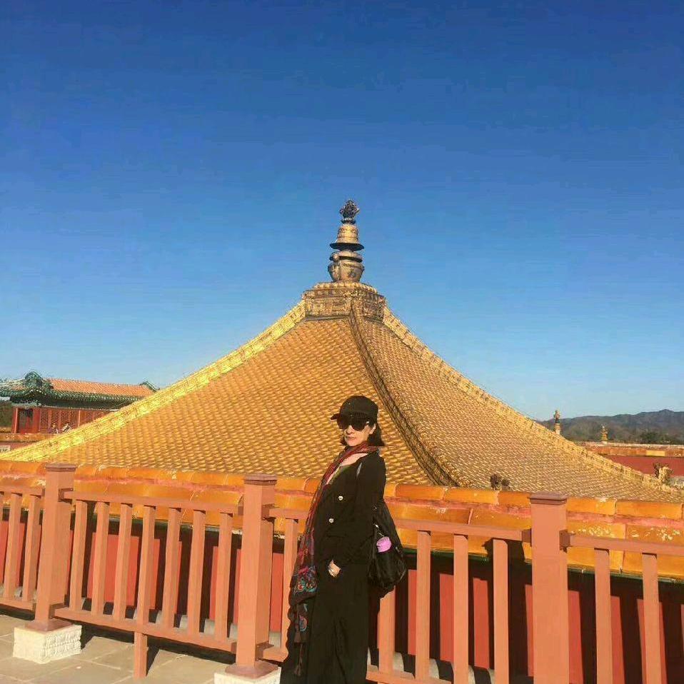 大惠惠