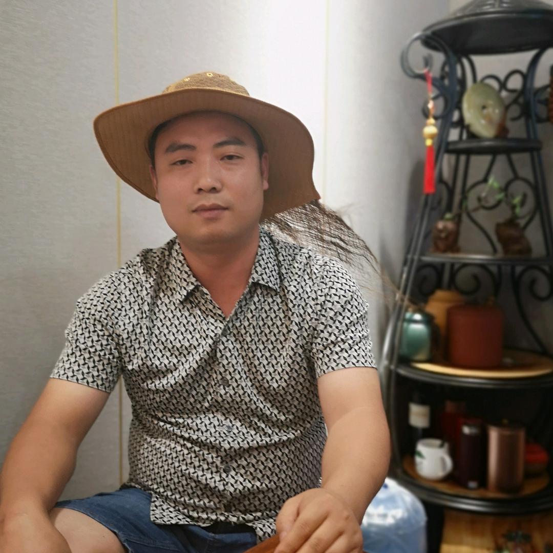 龙飞凤舞
