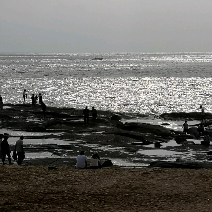 万荣南张村诚信苗木