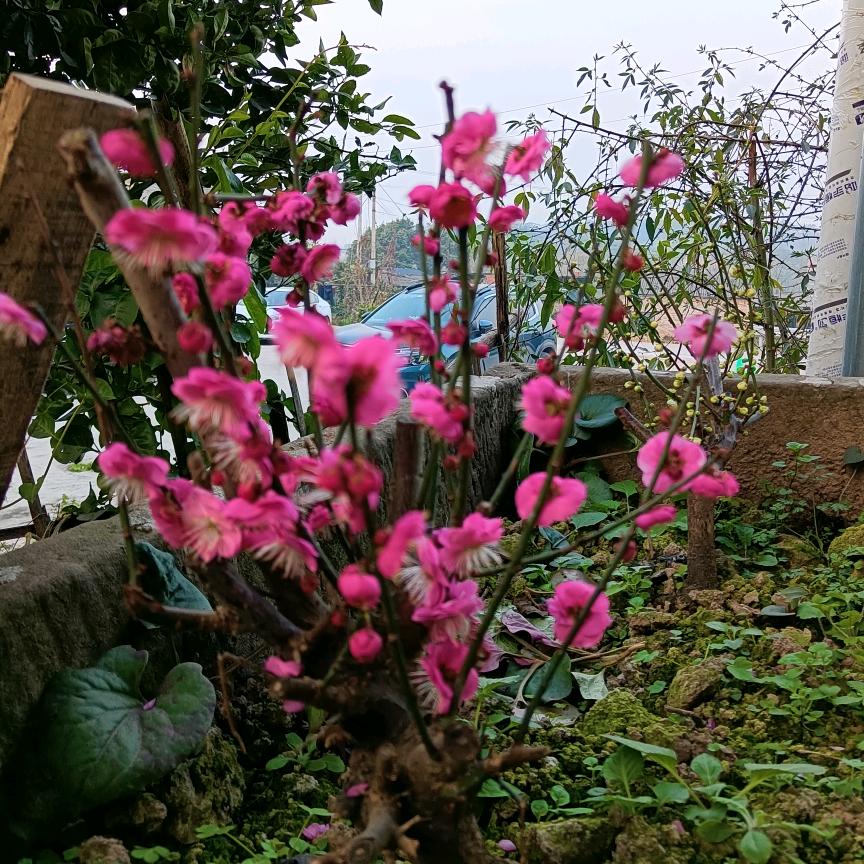 顺其自然