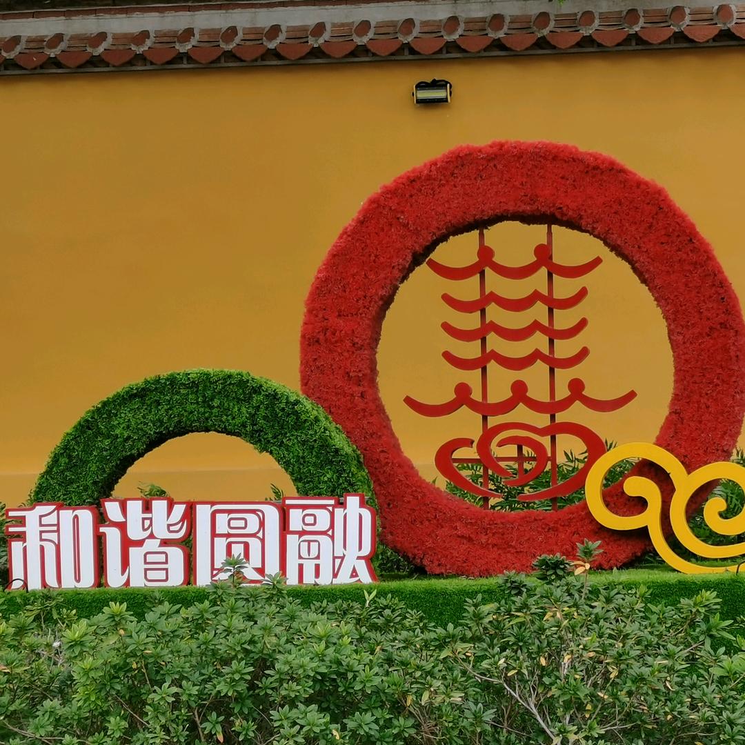 迷离
