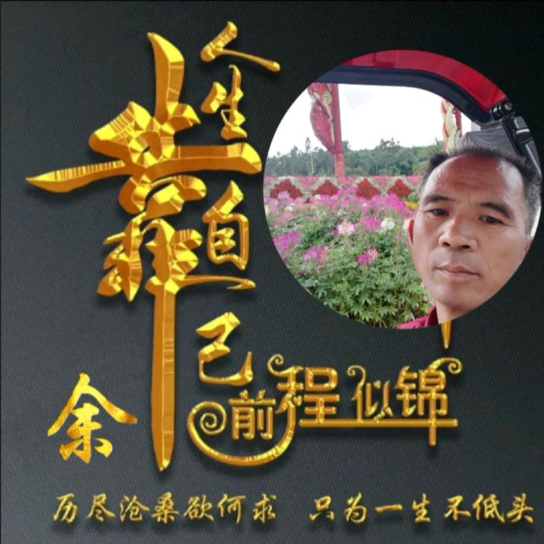 新意